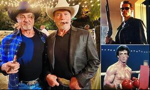 Arnold Schwarzenegger Sylvester Stallone Porn - The war of the roses... on steriods! How Sylvester Stallone triggered one  of Hollywood's longest-running feuds with Arnold Schwarzenegger | Daily  Mail Online